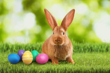 Cute bunny and colorful Easter eggs on green grass outdoors