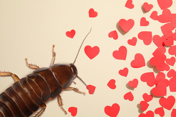 Valentine's Day Promotion Name Roach - QUIT BUGGING ME. Cockroach and small paper hearts on beige...