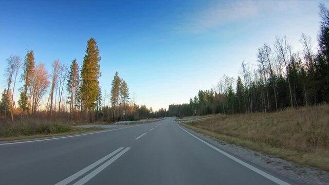 Remote scenery, countryside POV drive, asphalt road, trees and blue sky, car travel gopro point of view