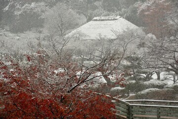晩秋の藁ぶき屋根のある田舎に降る雪