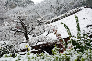 晩秋の藁ぶき屋根のある田舎に降る雪
