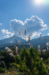 太陽に照らされたススキと山と青空