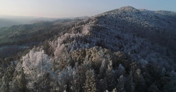 Drone footage snow covered trees, winter nature beautiful landscape aerial view. High quality 4k footage