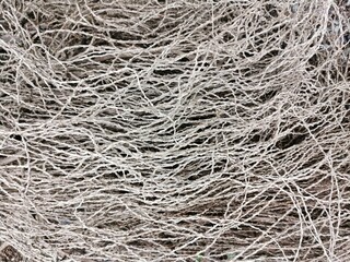 Full frame of vegetable roots strings