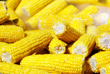 boiled corn closeup