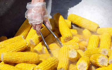 the cook's hand takes boiled corn from the boiler
