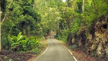Nice road in the field