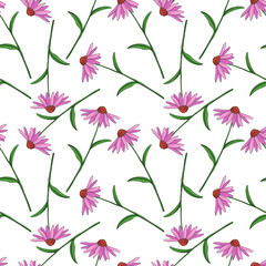 vector seamless pattern with drawing purple coneflower