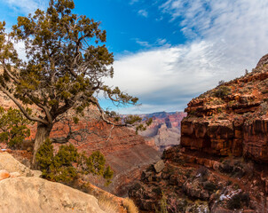 View of The Inner Canyon on The Hermit Trail, Grand Canyon National Park, Arizona, USA