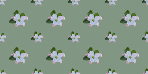 Seamless pattern with apple tree flowers
