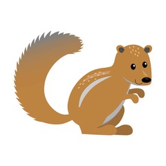 cute cartoon flat xerus (african ground squirrel) from side, vector isolated on white, illustration for children