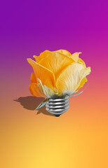 Rose in a light bulb against a yellow-pink gradient. Creative concept of fresh, spring ideas