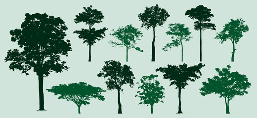 Fototapeta premium trees silhouettes