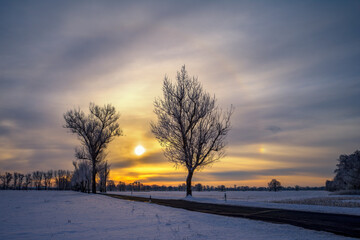 Winterlandschaft mit einem Baum in der Morgensonne