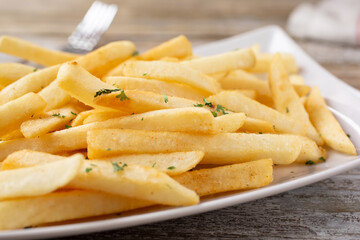 A closeup view of a plate of french fries.