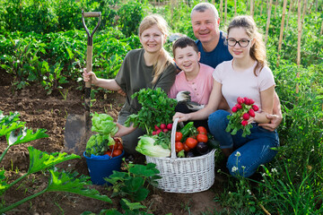 Fototapeta premium Happy family posing with basket of ripe vegetables on the field