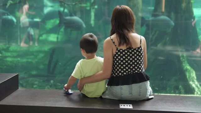 Mother and son having a nice time at the natural museum. Mom teaching her child at the aquarium. Educational family activities for the weekend and holidays