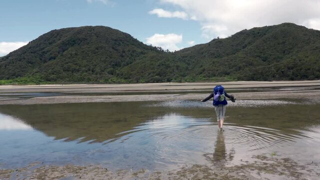 A solo female hiker crosses an estuary at low tide on the Abel Tasman National Park trail in New Zealand.