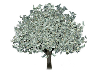 Money tree with dollars instead of leaves on a white background. The concept of financial growth,...
