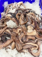 fresh squid in food market