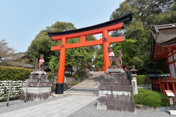 伏見稲荷大社　境内の鳥居　京都市伏見区