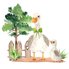 Watercolor farm village composition with a cute goose and little baby gosling - 414335226