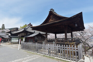 春の三井寺　観月舞台　滋賀県大津市