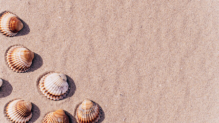Summer sale with seashells, starfishes on sand ocean beach background. Tranquil beach scene with copy space.