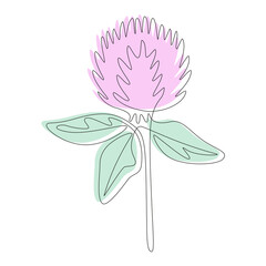 Continuous one line drawing of red clover, vector meadow Trifolium pratense. Minimalistic Doodle style with abstract color shape. Vector illustration