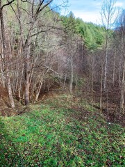 winter in Boone North Carolina