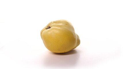 One fresh yellow quince is spinning on white background. Freshly picked fruit on turntable rotate. Detail view isolated.