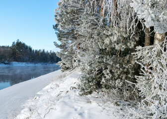 winter day by the river, snow covered trees and grass by the river, reflections in the water,...