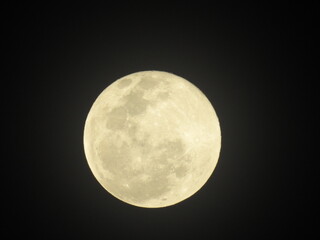 God's beautiful creation