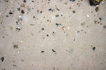 Seashore sand beach texture. Ocean coast top view photo. Seaside sand natural backdrop