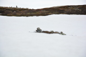 Steinhaufen und Moorheide blicken aus dem weißen Schnee am Polarkreis in Norwegen