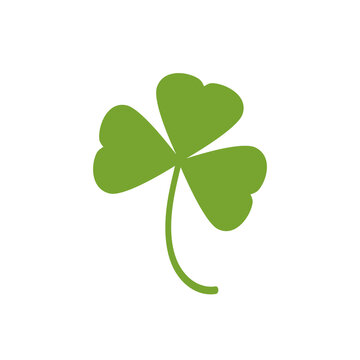 Three leaf clover icon. Green herb Isolated on white.