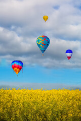 Naklejka premium Hot Air Balloons