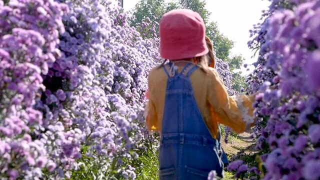 Two cute siblings girls enjoying the beauty of the flowers blooming in the field with warm sunshine in Singha Park garden Chiang Rai,Thailand.