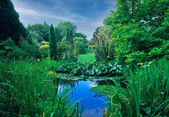 Water garden and garden view in a country house