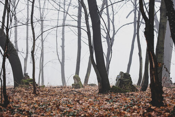 old abandoned cemetery during fog in autumn