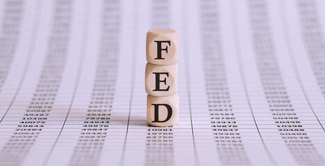 Word FED made with wood building blocks,stock image