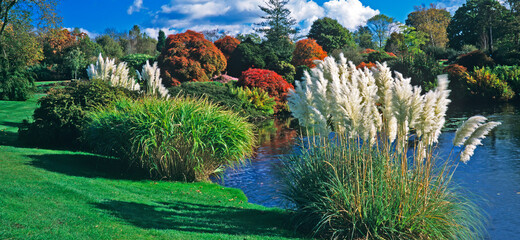 Colourful autumn scene by the lake at a Parkland garden