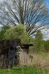 The frame of a wooden structure in an abandoned and overgrown with grass village vertical orientation (Pskov region, Russia)