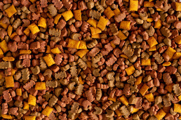 Cat food as background. Cat food frame with place for text. The concept of healthy eating pets.