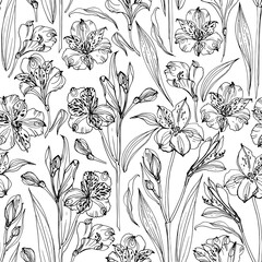 Pattern Flowers vector line drawing. Alstroemeria. Set of floral elements. Wedding decorations.