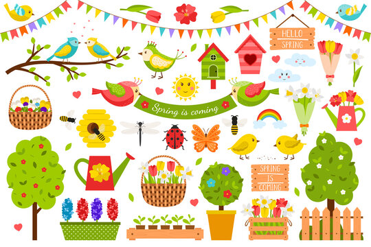 A collection of spring design elements. Cute, bright birds, plants, flowers in a flat cartoon style. Color vector illustration isolated on a white background