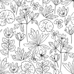 Pattern Flowers vector line drawing. Anemone, forest and meadow flowers and herbs drawn by a black line on a white background.