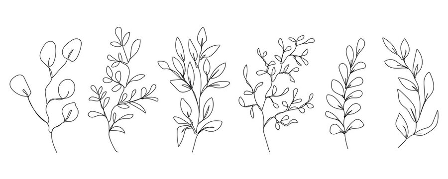 Vector Set of Hand Drawn Line Art Botanical Elements, Leaves. Minimalist Trendy Contemporary Design Perfect for Wall Art, Prints, Social Media, Posters, Invitations, Branding Design.