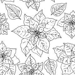 Pattern Christmas decor vector winter decorations. Poinsettia drawn by a black line on a white background.