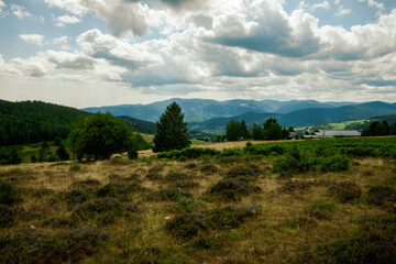 Paysage des plateaux des Vosges en France par une belle journée estivale, avec la lande séchée la forêt de résineux et des nuages dans le ciel.